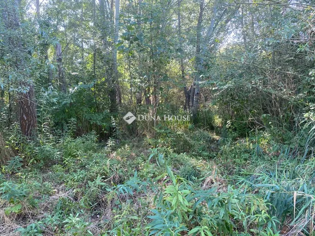 Eladó telek Göd, Nincs utca 7143 nm