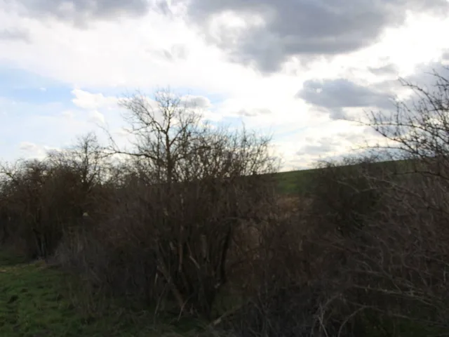 Eladó mezőgazdasági ingatlan Iregszemcse 29700 nm