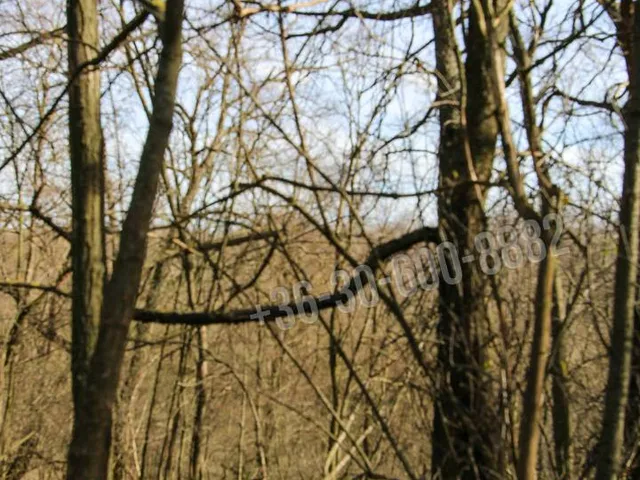 Eladó mezőgazdasági ingatlan Iregszemcse 30000 nm