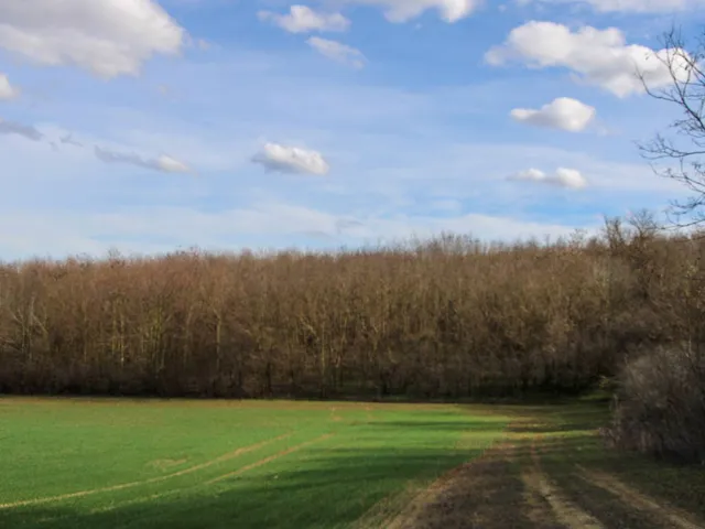Eladó mezőgazdasági ingatlan Iregszemcse 30000 nm
