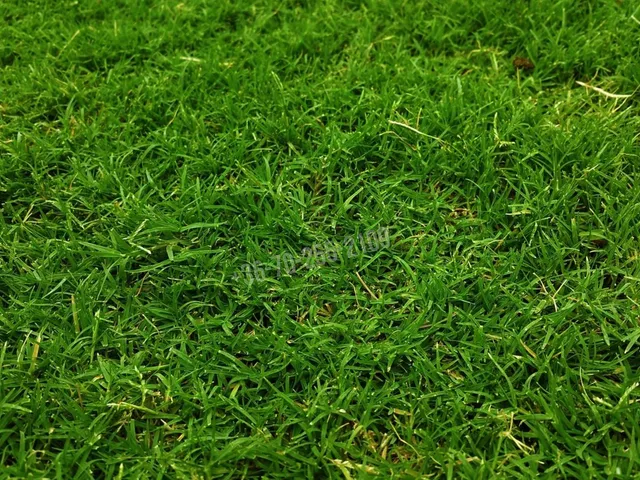 Eladó telek Balatonszabadi 1822 nm