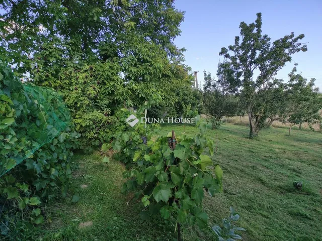 Eladó telek Fadd 604 nm