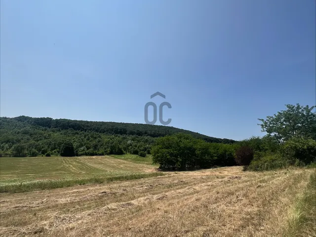 Eladó mezőgazdasági ingatlan Törökbálint 1771 nm