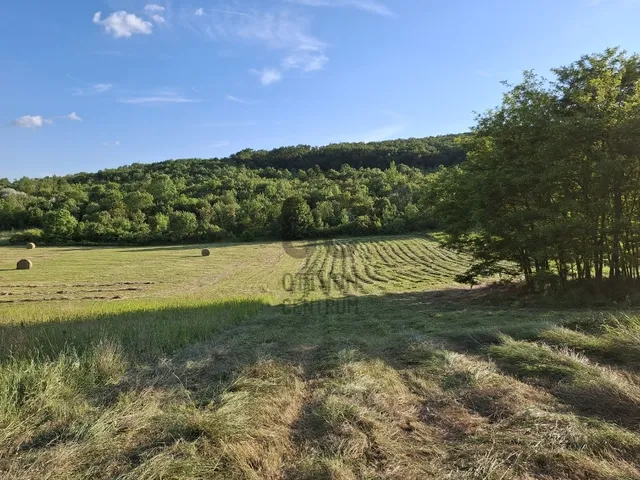 Eladó mezőgazdasági ingatlan Törökbálint 1771 nm
