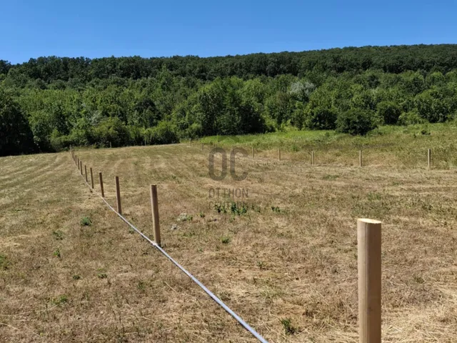 Eladó mezőgazdasági ingatlan Törökbálint 1771 nm