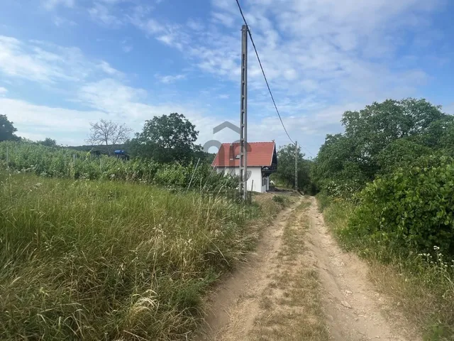 Eladó mezőgazdasági ingatlan Tök 2162 nm