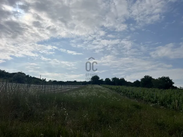Eladó mezőgazdasági ingatlan Tök 2162 nm