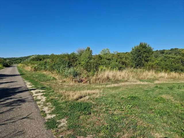 Eladó mezőgazdasági ingatlan Budakeszi, Nagyszénászug 8325 nm