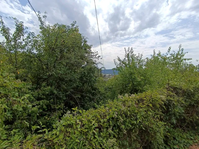 Eladó telek Pomáz, Messelia 2291 nm