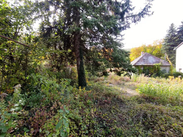 Eladó telek Remeteszőlős 806 nm