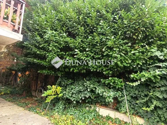 Kiadó lakás Budapest III. kerület, Prés utca 25 nm