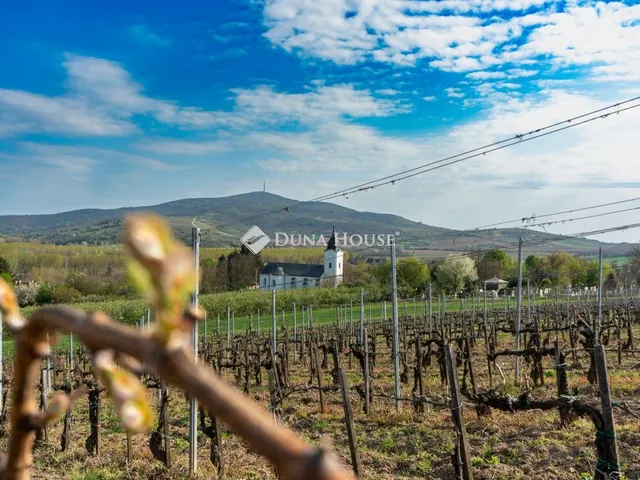 Eladó mezőgazdasági ingatlan Bodrogkeresztúr 6000 nm
