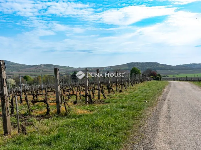 Eladó mezőgazdasági ingatlan Bodrogkeresztúr, Temető utca 6000 nm