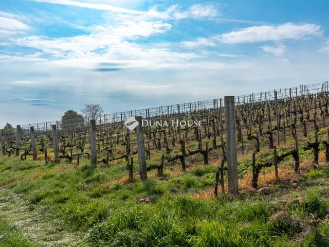 Eladó mezőgazdasági ingatlan Bodrogkeresztúr, Temető utca 6000 nm