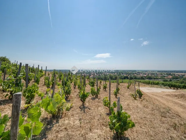 Eladó mezőgazdasági ingatlan Tokaj 70 nm