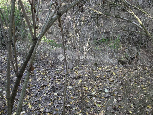 Eladó telek Tokaj, Csurgó völgy 5928 nm