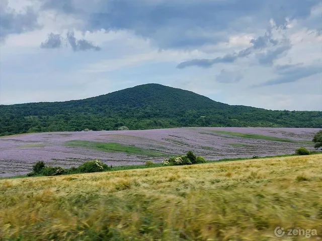 Eladó mezőgazdasági ingatlan Pilisszántó 790 nm