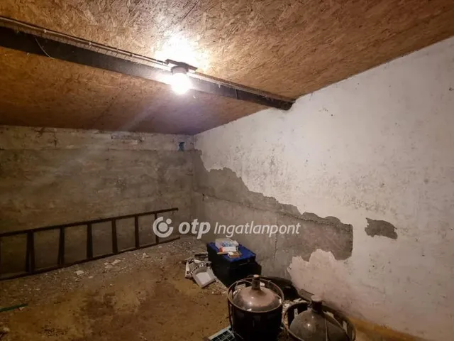 Eladó mezőgazdasági ingatlan Csemő, Természetközeli 91 nm