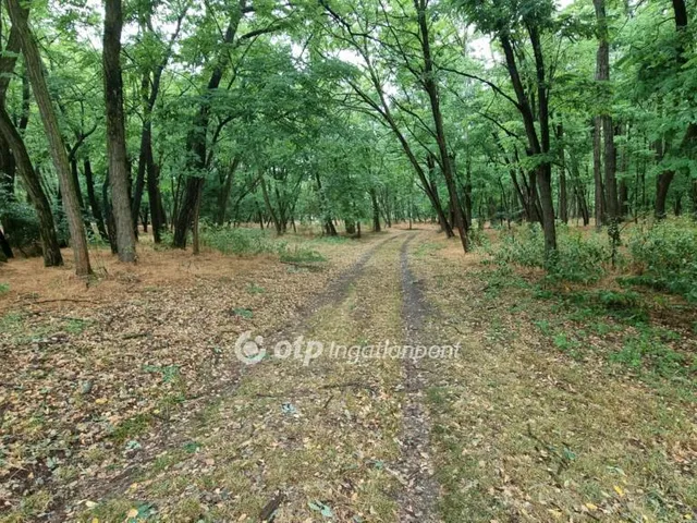 Eladó mezőgazdasági ingatlan Csemő, Természetközeli 91 nm