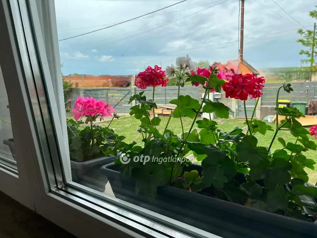 Eladó ház Nagykáta 163 nm
