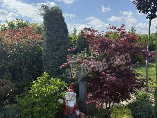Eladó ház Kartal 260 nm