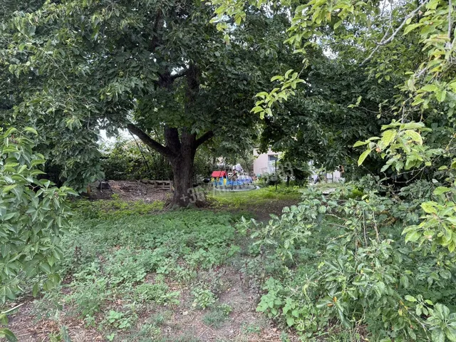 Eladó ház Isaszeg 110 nm