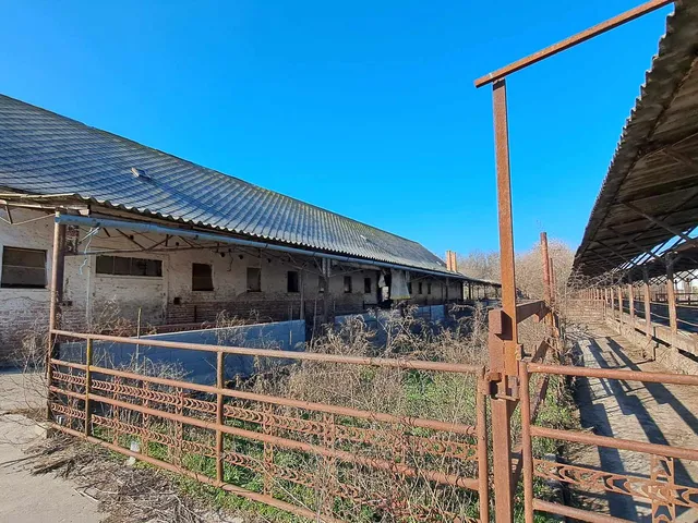 Eladó mezőgazdasági ingatlan Hódmezővásárhely 540 nm