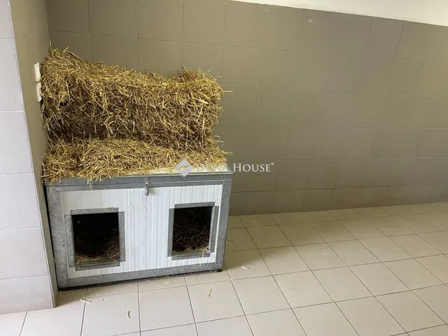 Eladó mezőgazdasági ingatlan Kiskunhalas 120 nm
