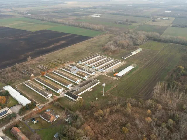 Eladó kereskedelmi és ipari ingatlan Tiszaalpár 52306 nm