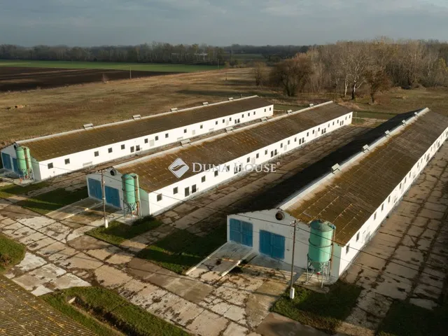 Eladó kereskedelmi és ipari ingatlan Tiszaalpár 52306 nm