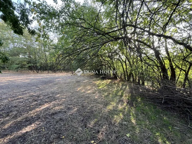 Eladó telek Kecskemét 3022 nm