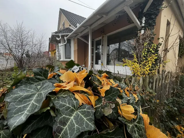 Eladó ház Kecskemét 200 nm