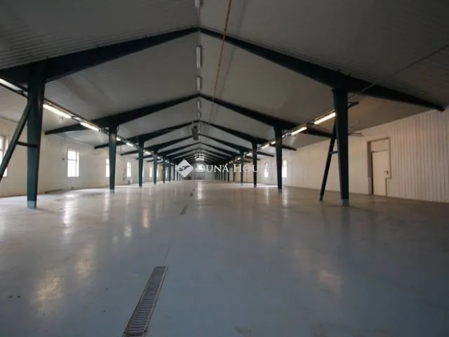 Eladó kereskedelmi és ipari ingatlan Dánszentmiklós 3109 nm