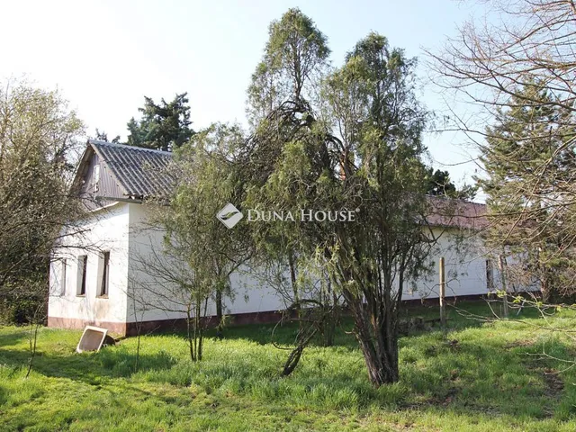 Eladó mezőgazdasági ingatlan Felgyő 100 nm