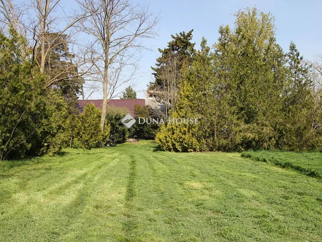 Eladó mezőgazdasági ingatlan Felgyő 100 nm