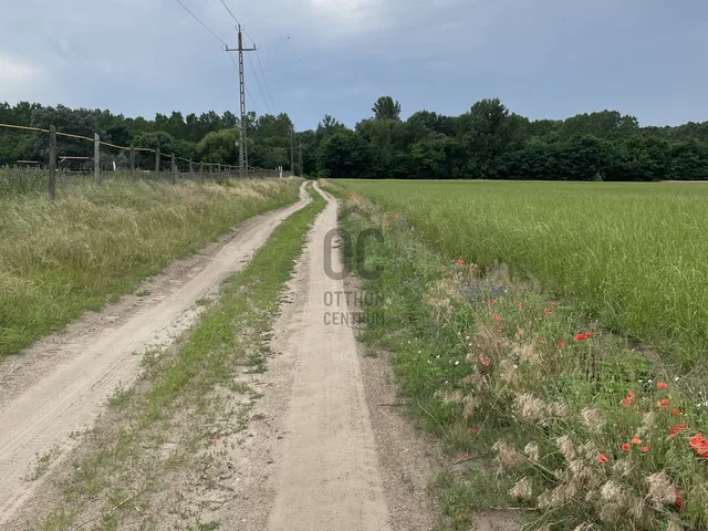 Eladó mezőgazdasági ingatlan Monor 53765 nm