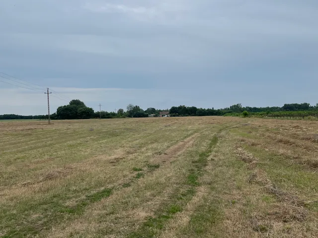 Eladó telek Monor 53765 nm