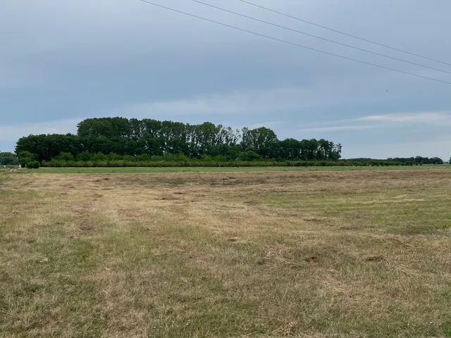 Eladó telek Monor 53765 nm