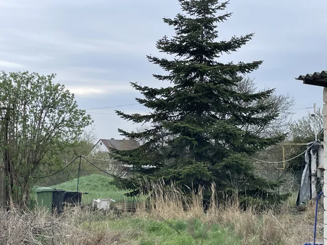 Eladó mezőgazdasági ingatlan Budapest XXII. kerület, Nagytétény 1958 nm