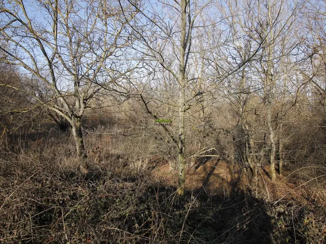 Eladó telek Ágfalva 6750 nm