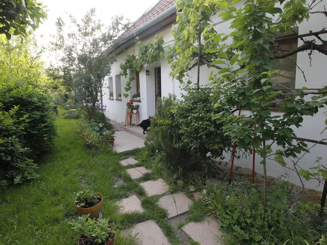 Eladó ház Harka 214 nm