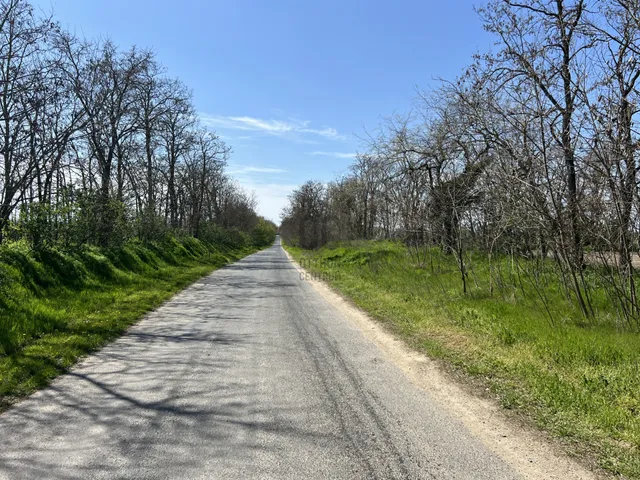 Eladó telek Balatonőszöd 10922 nm