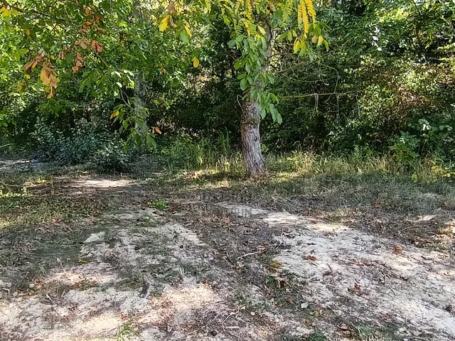 Eladó telek Balatonszárszó 2365 nm