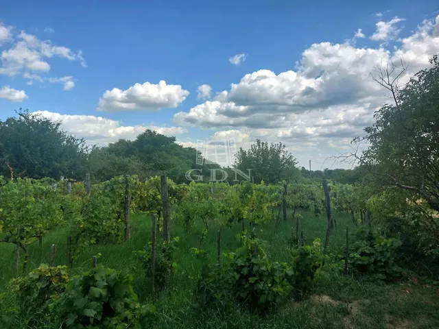 Eladó mezőgazdasági ingatlan Marcali 3822 nm