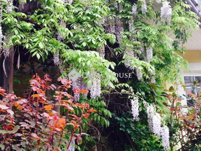 Eladó telek Telki, Szilfa utca 1251 nm