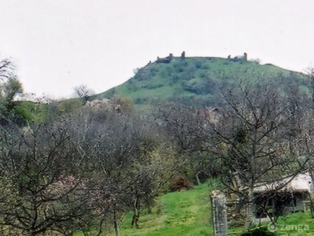 Eladó mezőgazdasági ingatlan Gyulakeszi 3300 nm
