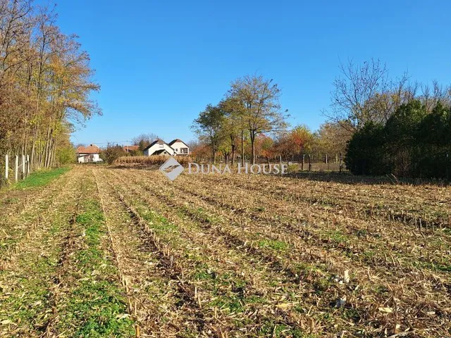 Eladó telek Tenk, Dózsa Györgyi út 2183 nm