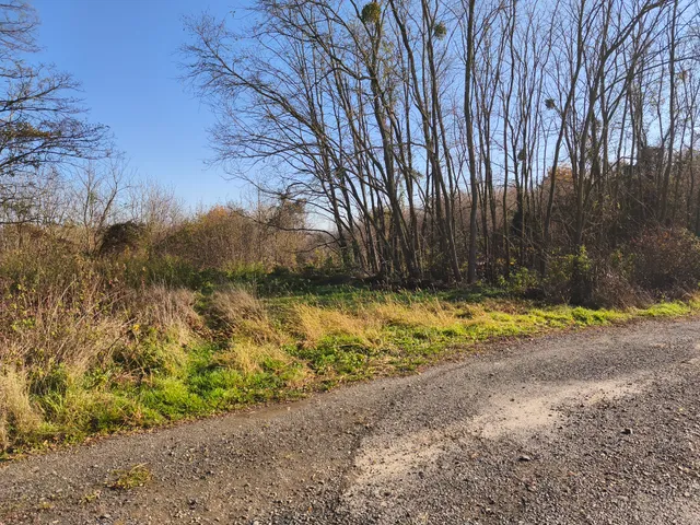 Eladó telek Nagypáli 12209 nm