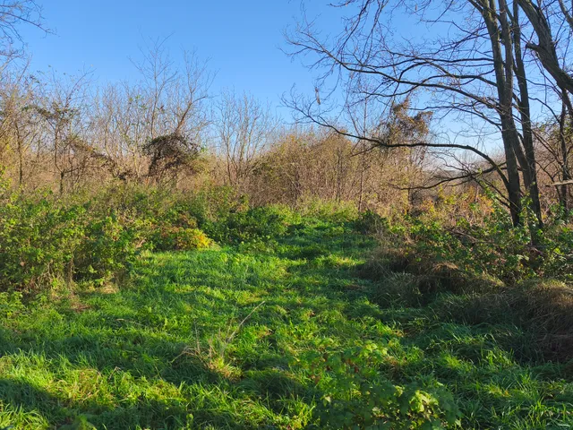 Eladó telek Nagypáli 12209 nm