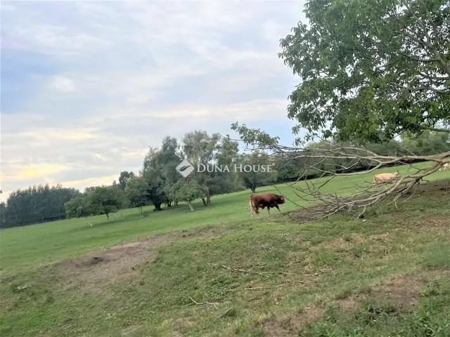Eladó mezőgazdasági ingatlan Pilis, Halesziszőlő II. dűlő 6789 nm